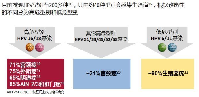 洁身自好为啥会HPV感染？