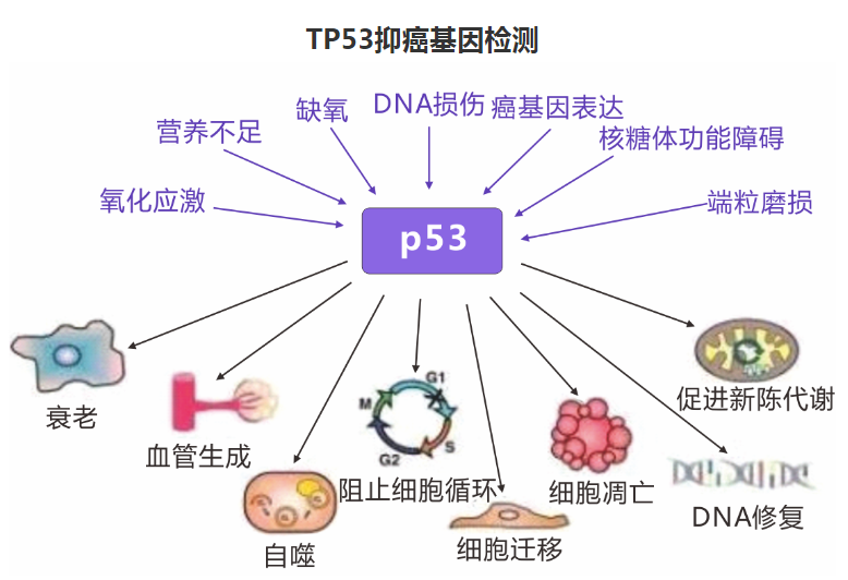 微信截图_20230313162623.png