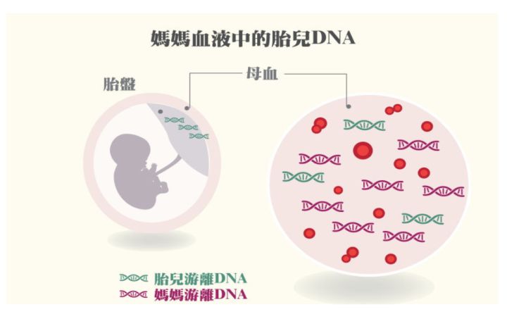 香港验血检查没y生了男孩可能吗?