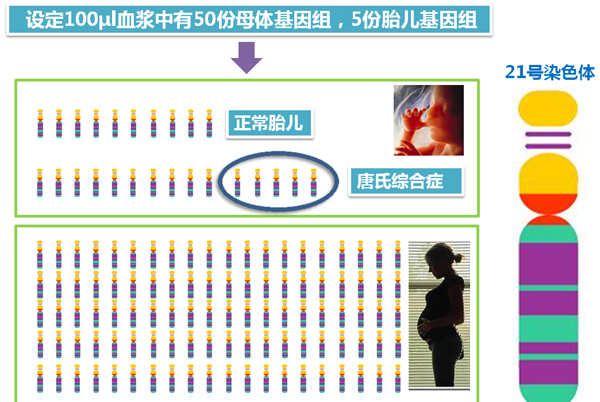 香港无创DNA可以查出什么问题呢?