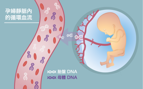 孕期无创亲子鉴定结果会不准？