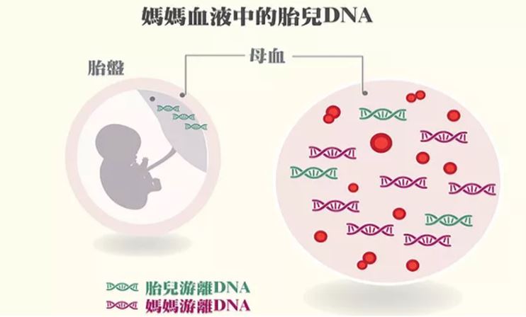 香港查血验男女需求怀孕多少天呢？