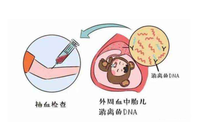 专业的DNA判定办法权威机构