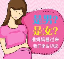 香港抽血查男女怀孕七周怎么做？