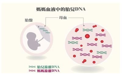 靠谱的查验性别安排威望查验